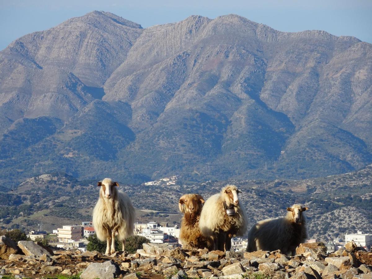 Delina Mountain Kreta