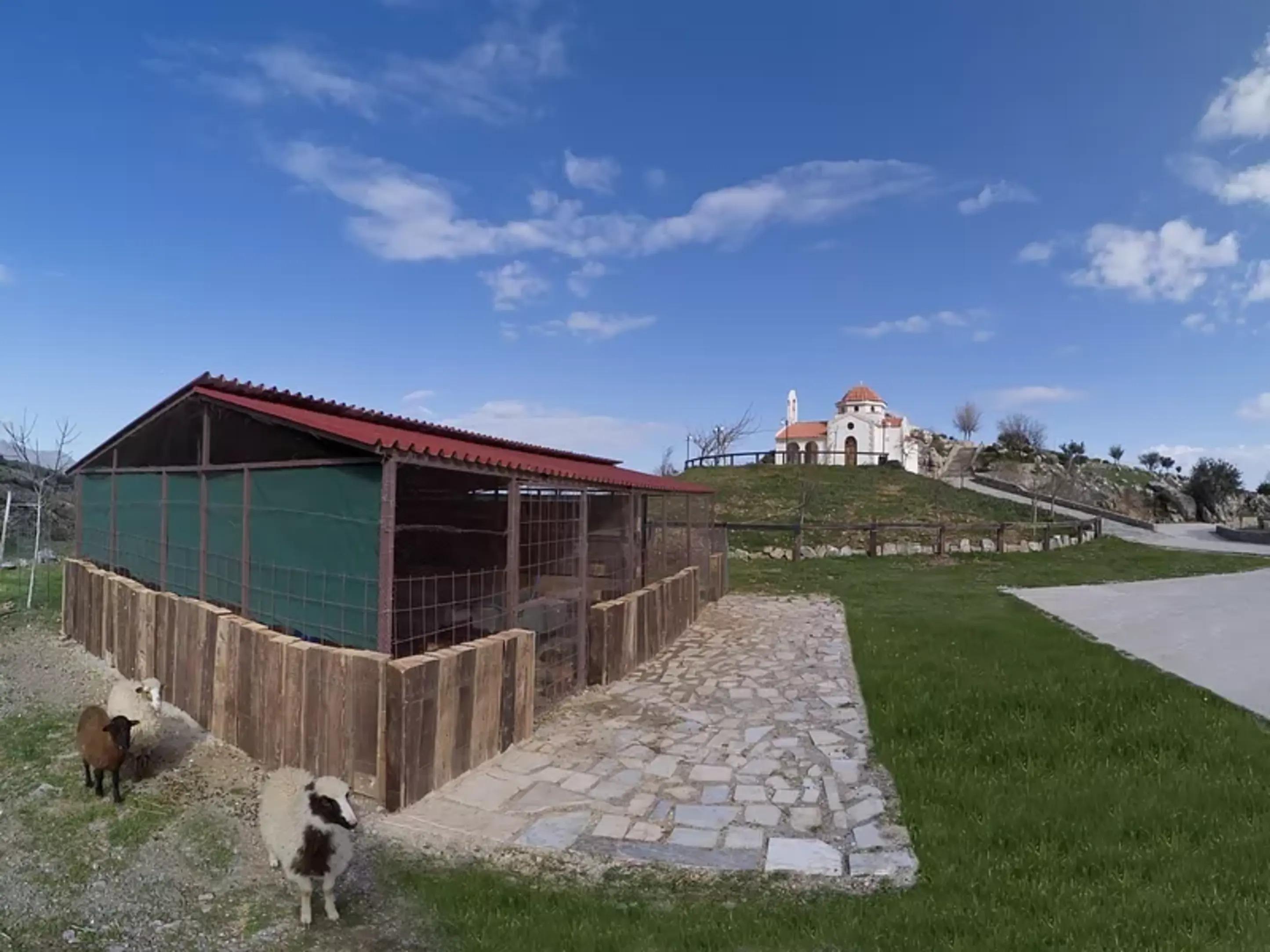 Delina Mountain 4*